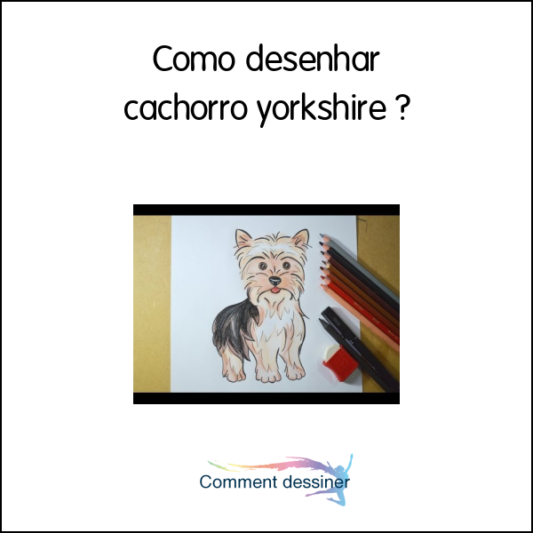 Como desenhar cachorro yorkshire